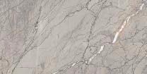 IBIS - (60.5 X 122cm) Floor Tile