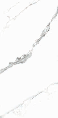 BINGO - (60.5 X 122cm) Floor Tile