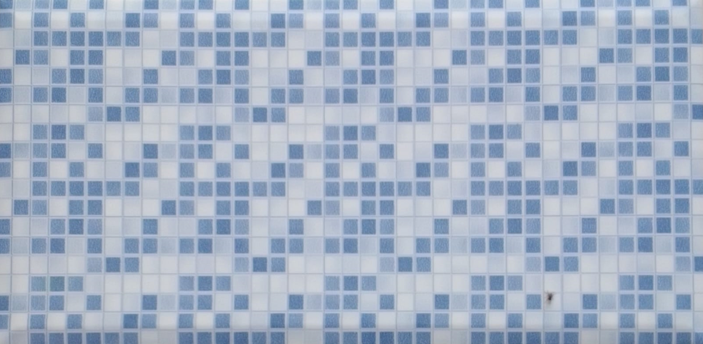 LEXA - (25 X 50cm) Wall Tile