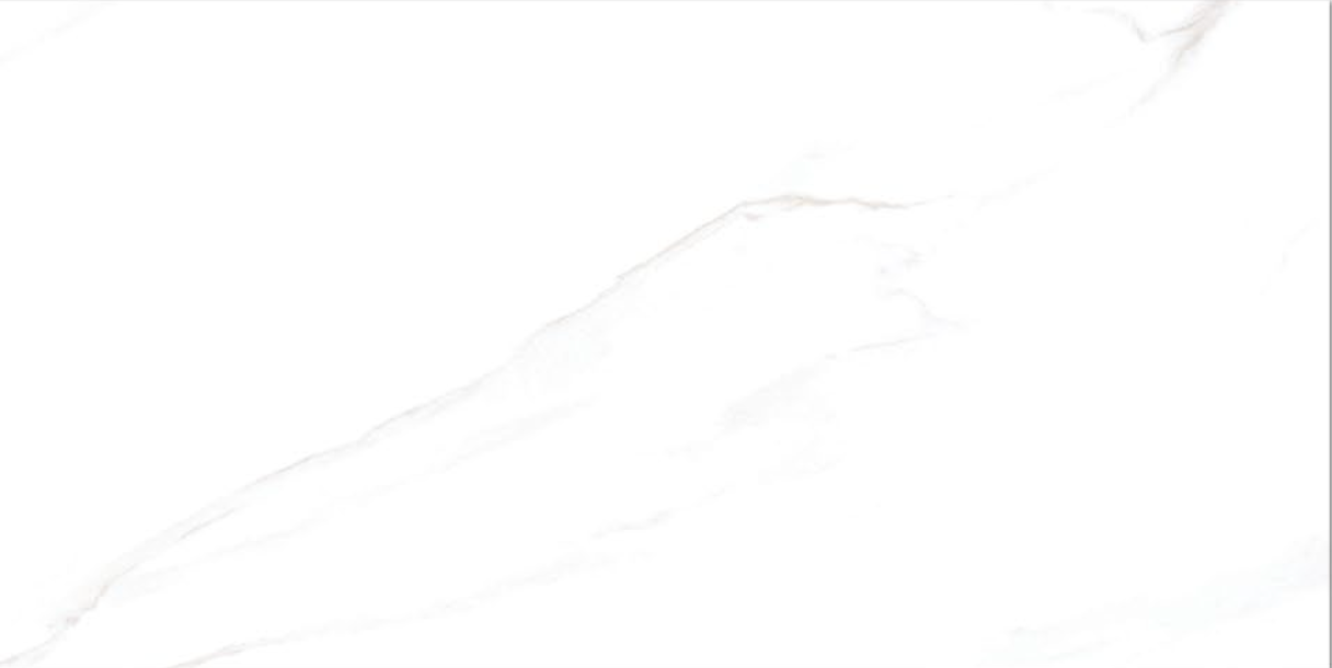 CARRARA GREY - (30 X 60cm) Wall Tile