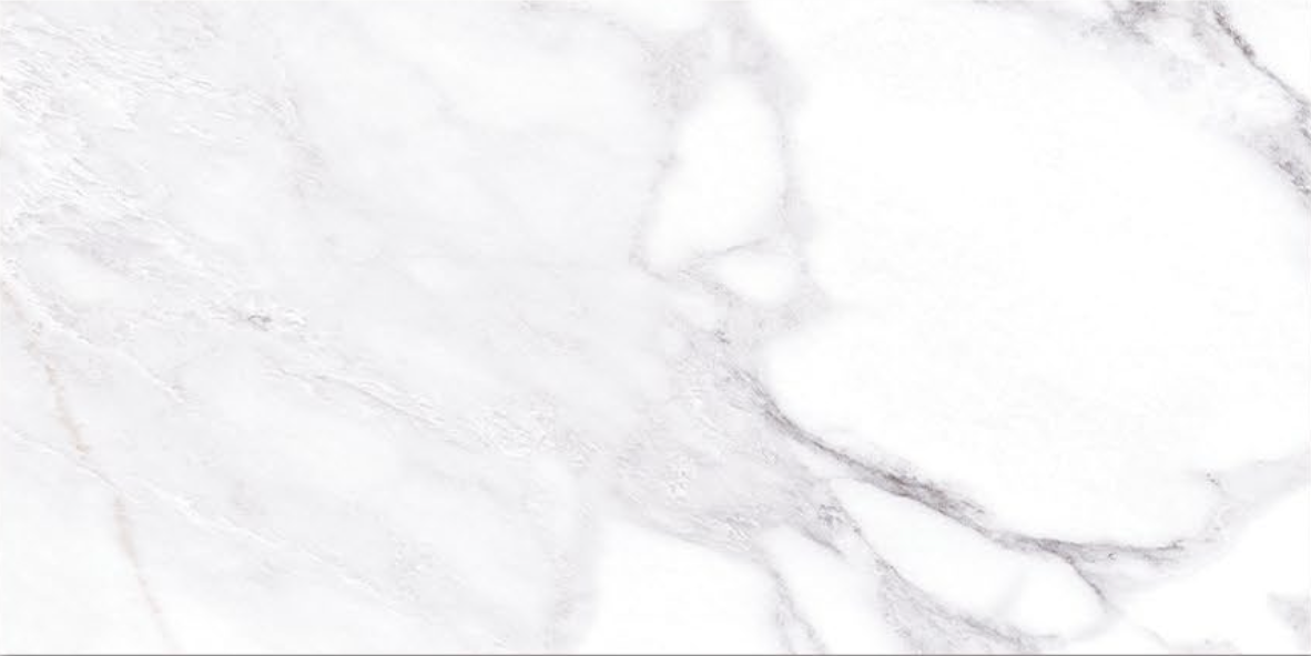 PARIS WALL - (30 X 60cm) Wall Tile