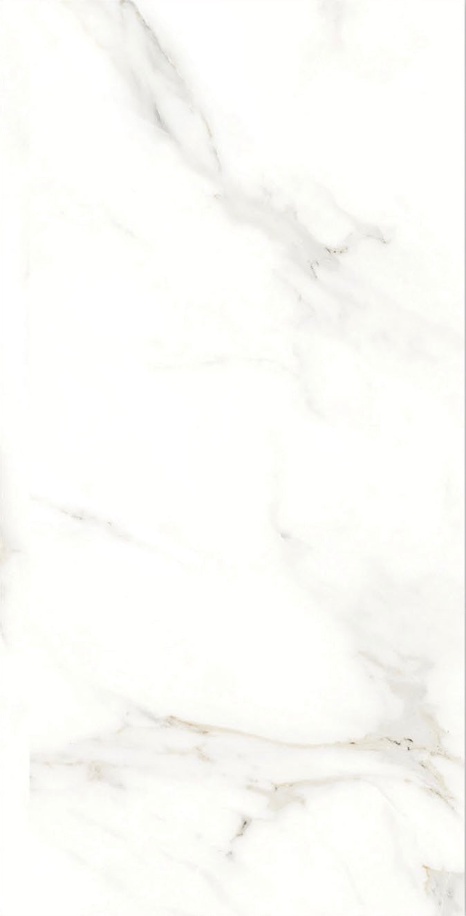 ORION - (60 X 120cm) Floor Tile