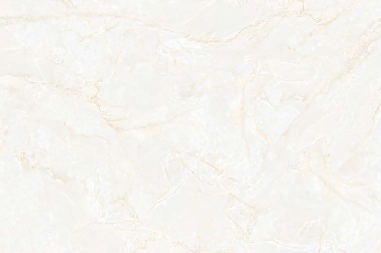 2010 L - (30 X 45cm) Wall Tile