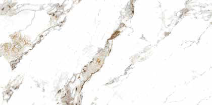 TOMMY - (30 X 60cm) Wall Tile