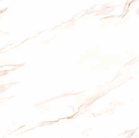 TORY BEIGE  - (60 X 60cm) Floor Tile