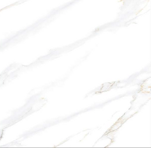 GL-6501 - (39.8 X 39.8cm) GLOSS (POLISHED)Floor Tile