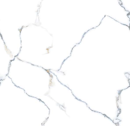 GL-6503 - (39.8 X 39.8cm) GLOSS (POLISHED)Floor Tile