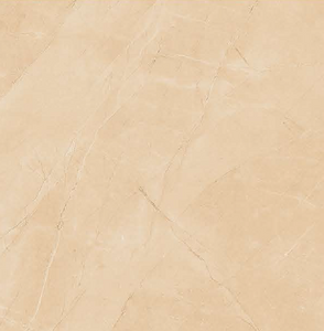 GL-6529 - (39.8 X 39.8cm) GLOSS (POLISHED)Floor Tile