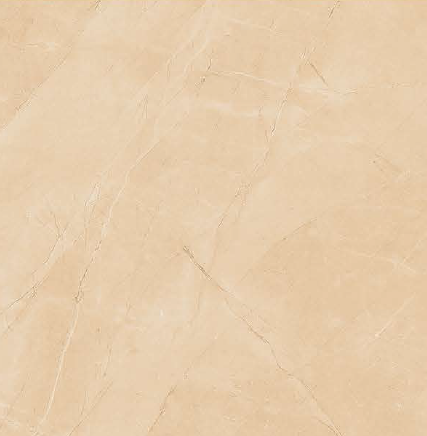 GL-6529 - (39.8 X 39.8cm) GLOSS (POLISHED)Floor Tile