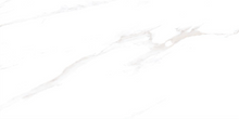 Load image into Gallery viewer, CARRARA GREY - (30 X 60cm) Wall Tile
