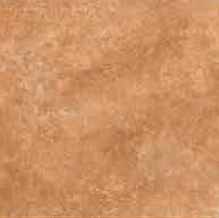 1193 - (30.5cm X 30.5cm) Floor Tile