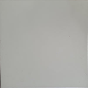 221 White - (42 X 42cm) Floor Tile