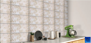 2196/1 -  (25 X 50cm) Wall Tile