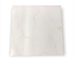 6072 - (60.5 X 60.5cm) Floor Tile