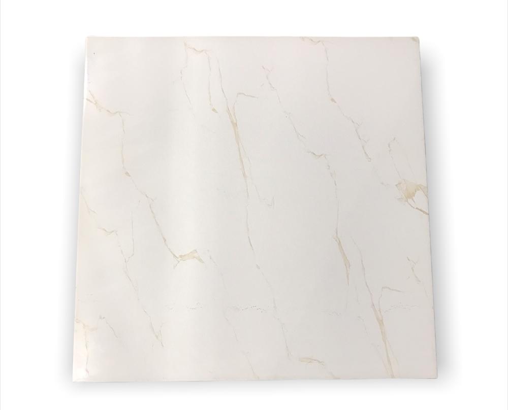 6072 - (60.5 X 60.5cm) Floor Tile