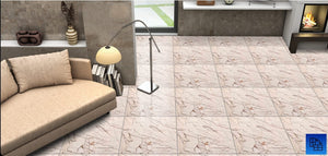 795 - (50 X 50cm) Floor Tile