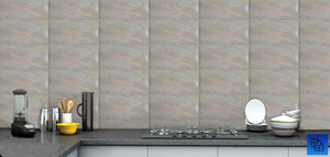 2218/1 - (25 X 50cm) Wall Tile