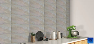 2218/1 - (25 X 50cm) Wall Tile