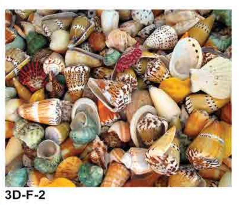 3D-F-2  -  Sea Shells 3D (1.2m X 1.2m)