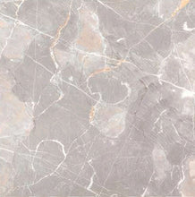 Load image into Gallery viewer, Golden Gray - (42 X 42cm) Floor Tile
