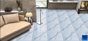 766 - (50 X 50cm) Floor Tile