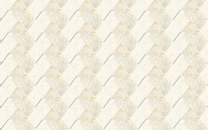 25102 (25X40cm Wall Tiles)